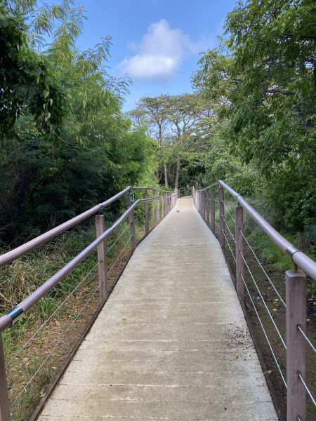 Footpath Construction in Cedar Park