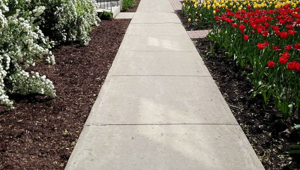Cement Sidewalk Installation in Cedar Park