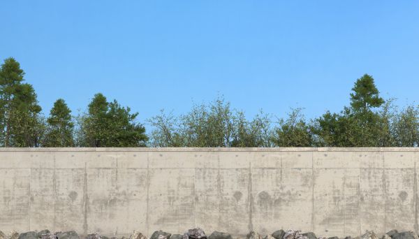 Privacy Wall Construction in Cedar Park