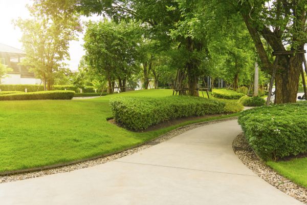 Walkway Concrete Installation in Cedar Park