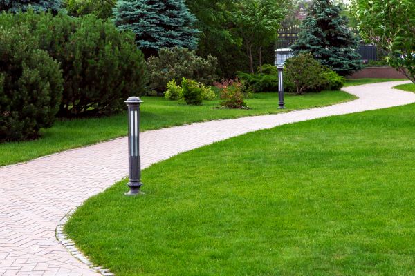Backyard Sidewalk Installation in Cedar Park