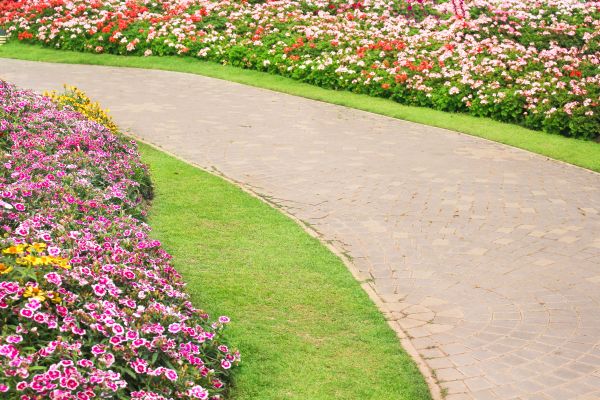 Concrete Walkway Service in Cedar Park