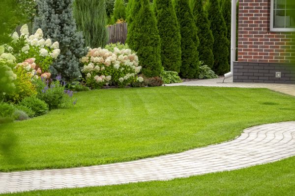 Landscape Walkway Installation in Cedar Park