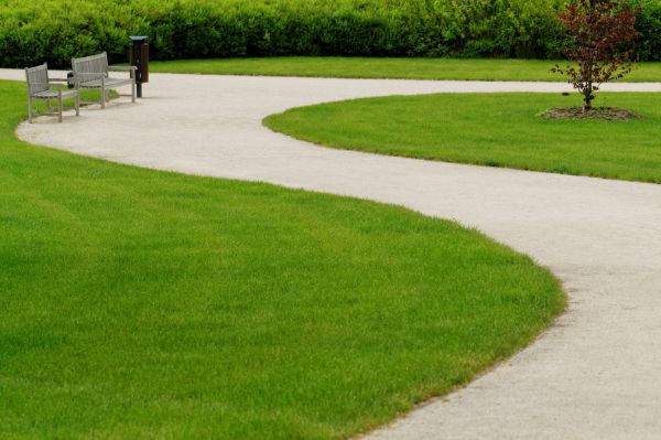 Sidewalk Installation in Cedar Park